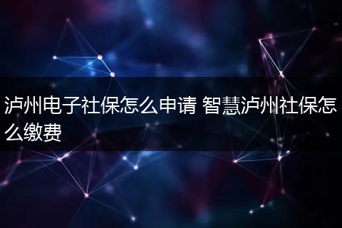 泸州电子社保怎么申请 智慧泸州社保怎么缴费