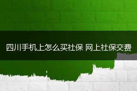 四川手机上怎么买社保 网上社保交费