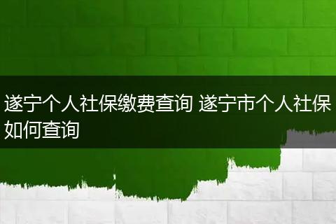 遂宁个人社保缴费查询 遂宁市个人社保如何查询
