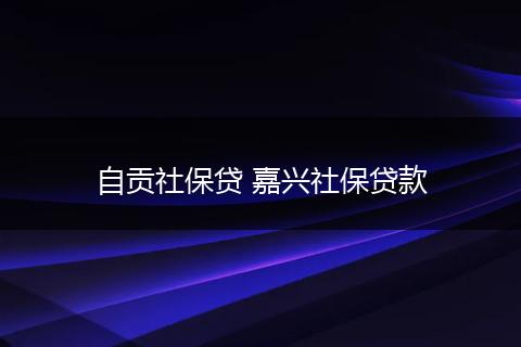 自贡社保贷 嘉兴社保贷款