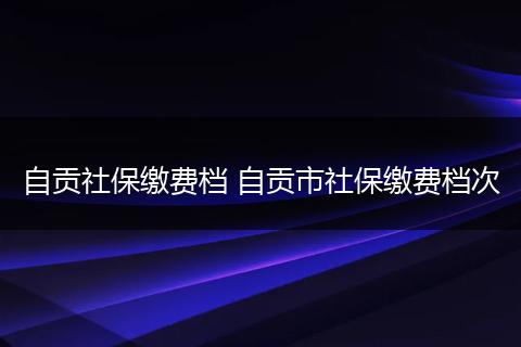 自贡社保缴费档 自贡市社保缴费档次