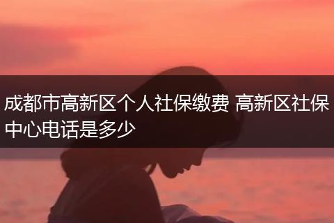 成都市高新区个人社保缴费 高新区社保中心电话是多少