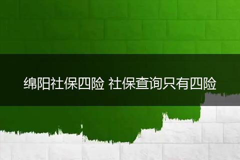 绵阳社保四险 社保查询只有四险