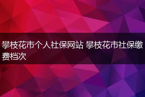 攀枝花市个人社保网站 攀枝花市社保缴费档次