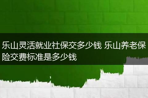 乐山灵活就业社保交多少钱 乐山养老保险交费标准是多少钱