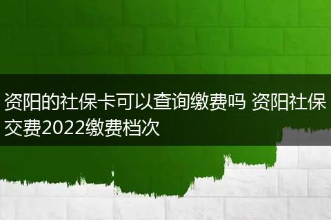 资阳的社保卡可以查询缴费吗 资阳社保交费2022缴费档次