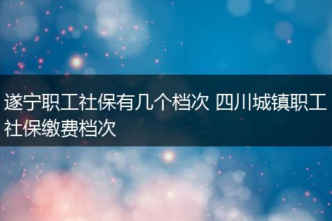 遂宁职工社保有几个档次 四川城镇职工社保缴费档次