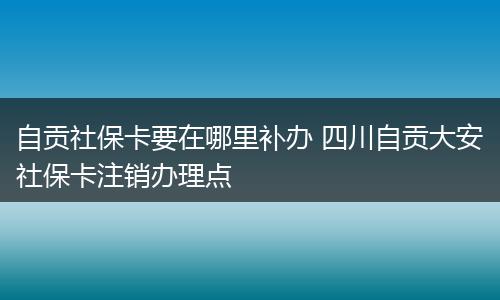 自贡社保卡要在哪里补办 四川自贡大安社保卡注销办理点