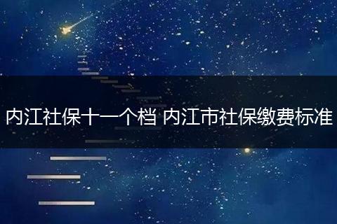 内江社保十一个档 内江市社保缴费标准