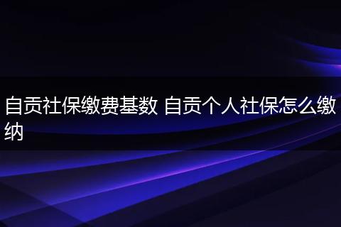 自贡社保缴费基数 自贡个人社保怎么缴纳