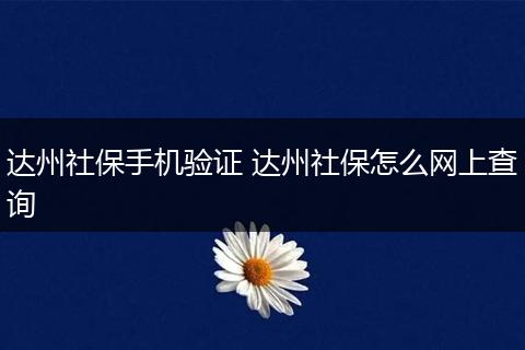 达州社保手机验证 达州社保怎么网上查询