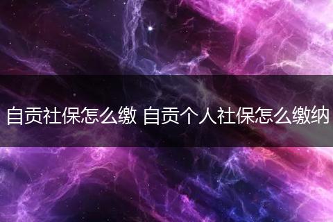 自贡社保怎么缴 自贡个人社保怎么缴纳