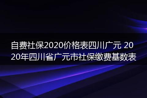 自费社保2020价格表四川广元 2020年四川省广元市社保缴费基数表