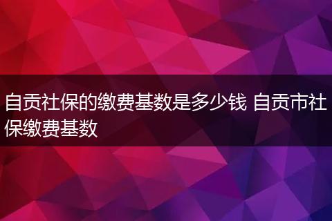 自贡社保的缴费基数是多少钱 自贡市社保缴费基数