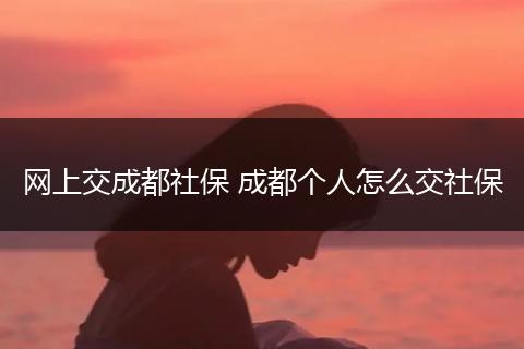 网上交成都社保 成都个人怎么交社保