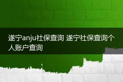 遂宁anju社保查询 遂宁社保查询个人账户查询