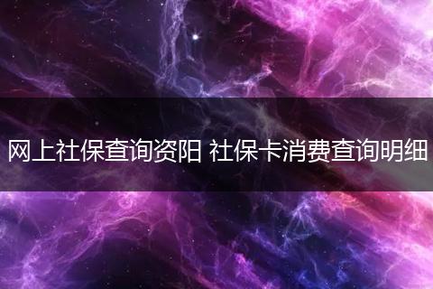 网上社保查询资阳 社保卡消费查询明细