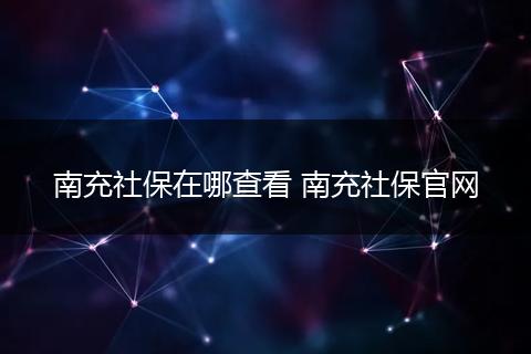 南充社保在哪查看 南充社保官网