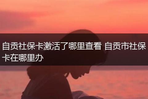 自贡社保卡激活了哪里查看 自贡市社保卡在哪里办