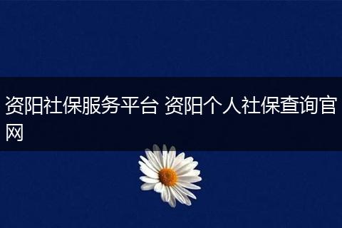 资阳社保服务平台 资阳个人社保查询官网