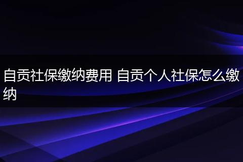 自贡社保缴纳费用 自贡个人社保怎么缴纳