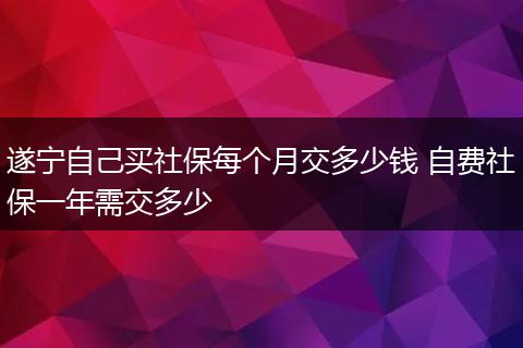 遂宁自己买社保每个月交多少钱 自费社保一年需交多少