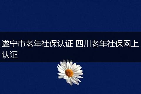 遂宁市老年社保认证 四川老年社保网上认证