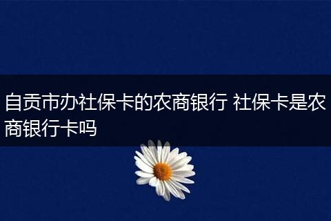 自贡市办社保卡的农商银行 社保卡是农商银行卡吗
