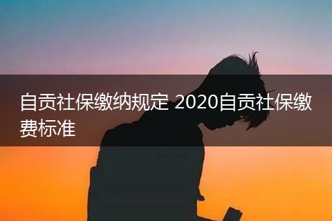 自贡社保缴纳规定 2020自贡社保缴费标准