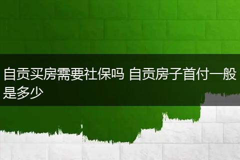 自贡买房需要社保吗 自贡房子首付一般是多少