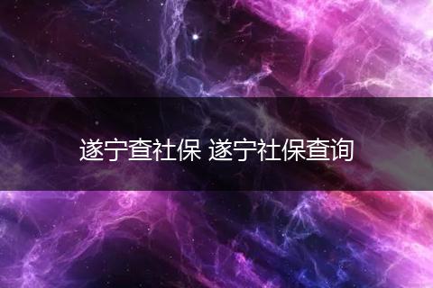 遂宁查社保 遂宁社保查询