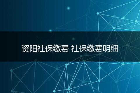 资阳社保缴费 社保缴费明细