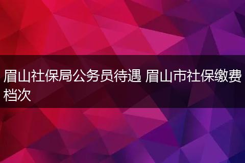 眉山社保局公务员待遇 眉山市社保缴费档次