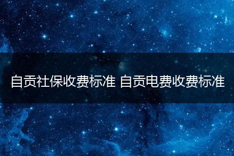 自贡社保收费标准 自贡电费收费标准