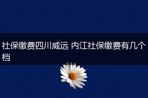 社保缴费四川威远 内江社保缴费有几个档