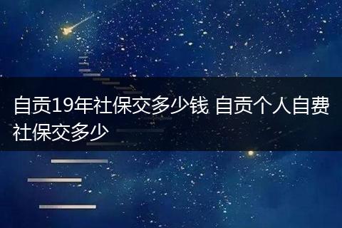 自贡19年社保交多少钱 自贡个人自费社保交多少