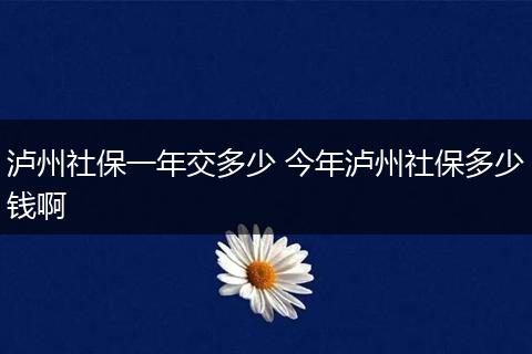 泸州社保一年交多少 今年泸州社保多少钱啊