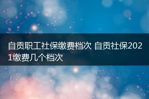 自贡职工社保缴费档次 自贡社保2021缴费几个档次
