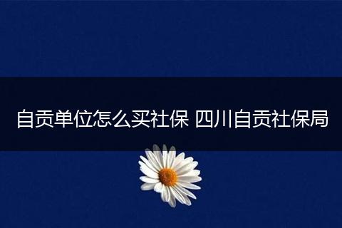 自贡单位怎么买社保 四川自贡社保局