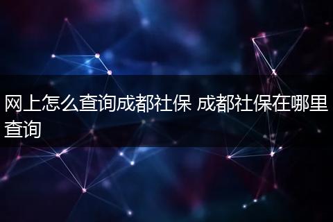 网上怎么查询成都社保 成都社保在哪里查询