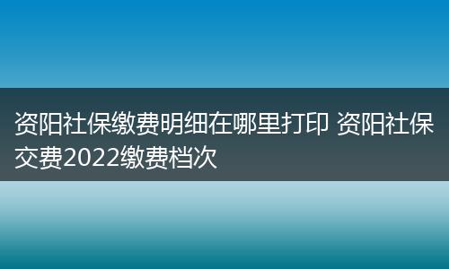 资阳社保缴费明细在哪里打印 资阳社保交费2022缴费档次