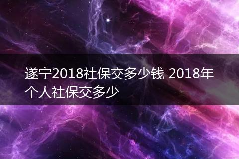 遂宁2018社保交多少钱 2018年个人社保交多少