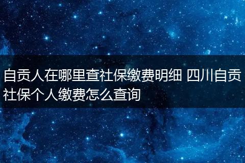 自贡人在哪里查社保缴费明细 四川自贡社保个人缴费怎么查询