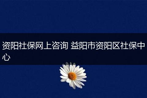 资阳社保网上咨询 益阳市资阳区社保中心