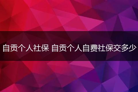自贡个人社保 自贡个人自费社保交多少