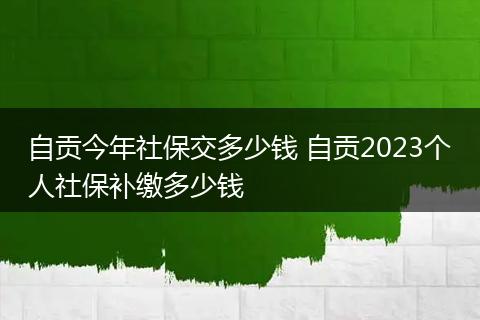 自贡今年社保交多少钱 自贡2023个人社保补缴多少钱