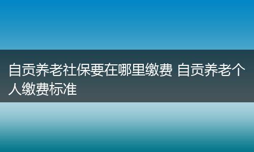 自贡养老社保要在哪里缴费 自贡养老个人缴费标准