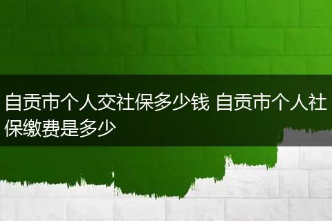 自贡市个人交社保多少钱 自贡市个人社保缴费是多少
