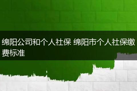 绵阳公司和个人社保 绵阳市个人社保缴费标准