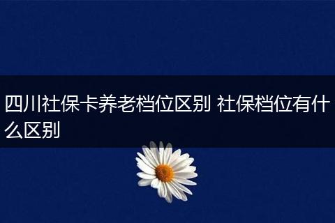 四川社保卡养老档位区别 社保档位有什么区别